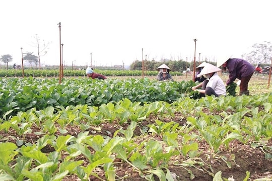 Tin tức đặc biệt trên báo in Hànộimới ngày 15-12-2025