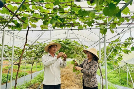 Hành trình thoát nghèo từ những mô hình nhỏ ở Yên Xuân