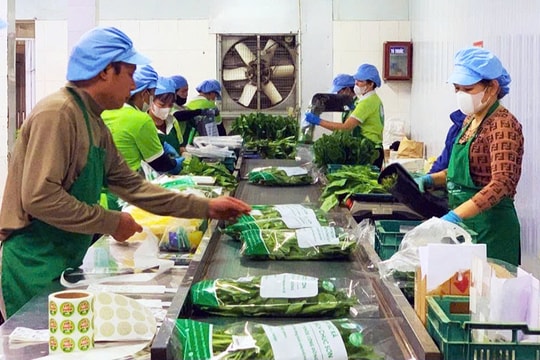 Mở rộng thị trường, ổn định đầu ra nông sản