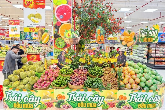 Bảo đảm nguồn cung hàng hóa dịp Tết: Tăng dự trữ, giữ ổn định thị trường