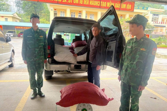 Lũng Nặm và Trà Lĩnh (Cao Bằng): Phát hiện, thu giữ hơn 1,6 tấn cau khô không rõ nguồn gốc