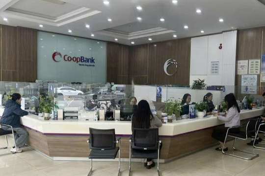 Thông báo khai trương hoạt động Phòng Giao dịch số 2 Co-opBank chi nhánh Bắc Giang