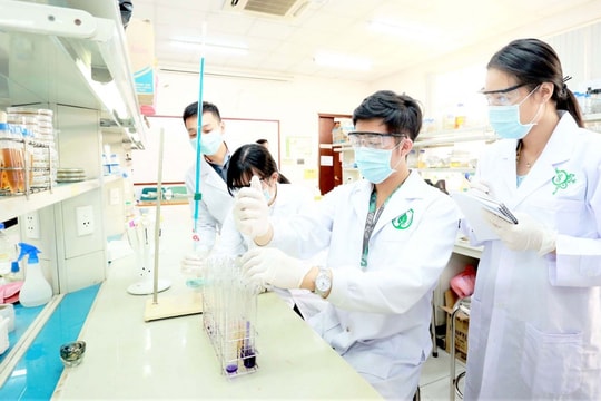 Chú trọng đội ngũ trí thức có trình độ cao trong các lĩnh vực then chốt