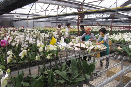 Hà Nội: Khuyến khích thử nghiệm có kiểm soát các lĩnh vực khoa học công nghệ