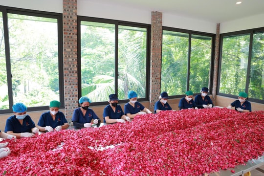 Sinh kế bền vững cho vùng rốn lũ Xuân Mai