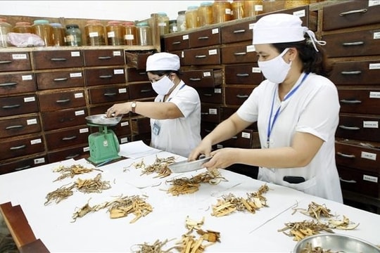 Hà Nội: Thúc đẩy y học cổ truyền trong giai đoạn mới