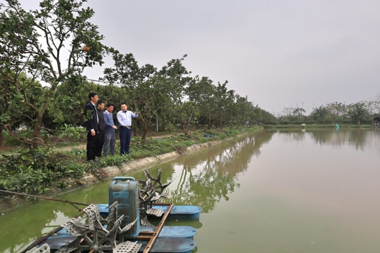 Hà Nội công khai, minh bạch trong rà soát hộ nghèo, hộ cận nghèo: Bảo đảm an sinh, tạo nền tảng giảm nghèo bền vững