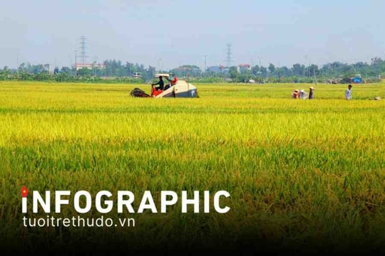 Giảm phát thải khí mê-tan theo từng vùng sinh thái nông nghiệp