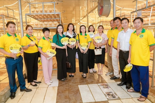 Thông tin kỹ thuật, thị trường giúp nông dân Thủ đô làm giàu bền vững