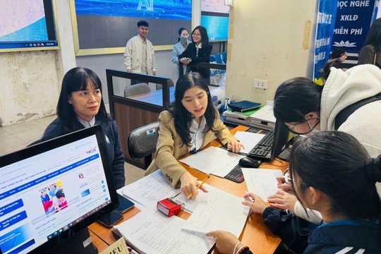Mở rộng cơ hội việc làm cho lao động trẻ ngành công nghệ thông tin