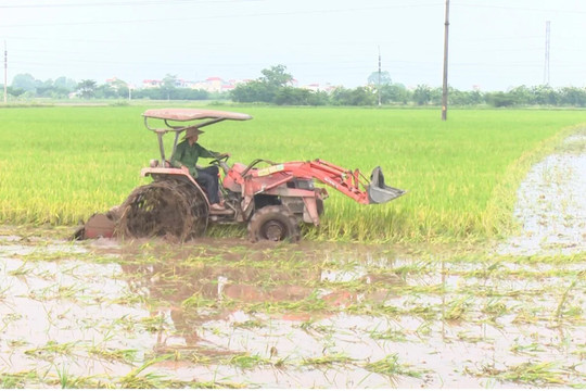 Bảo đảm quyền lợi người dân khi đất nông nghiệp khi hết hạn sử dụng