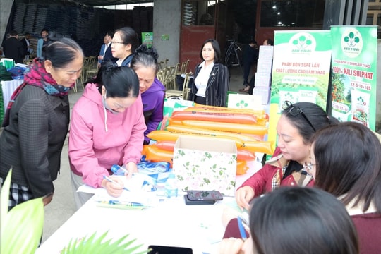 Giảm nghèo bền vững: Thách thức và cơ hội từ thực tiễn cơ sở