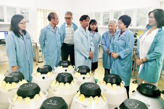 Chăn nuôi bò thịt chất lượng cao tại Hà Nội: Nâng cao năng suất, cải thiện đời sống nông dân