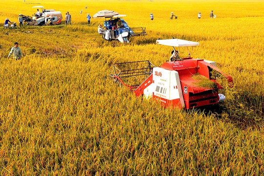 Tháo gỡ nút thắt kỹ thuật về đất đai