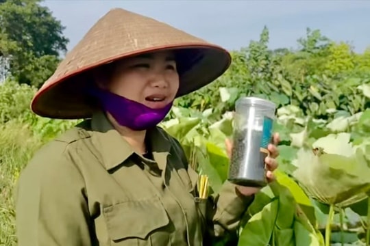 Từ lá sen bỏ đi đến giấc mơ làm giàu của cô gái 9X