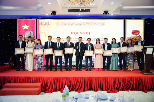 Lai tạo bò BBB bước đột phá đưa chăn nuôi bò thịt Hà Nội phát triển hiện đại