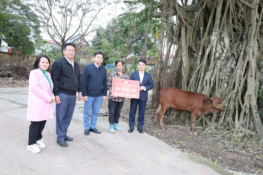 Trao “cần câu” cho vùng “rốn lũ” Xuân Mai