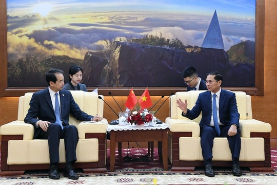 Phó Thủ tướng Bùi Thanh Sơn tiếp Đại sứ Trung Quốc Hà Vĩ