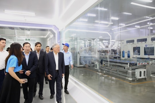 Phó Thủ tướng Thường trực Chính phủ Nguyễn Hòa Bình thăm, kiểm tra một số dự án tại Quảng Ninh