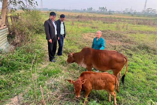 Hành trình thoát nghèo của người mẹ 47 năm chăm con tật nguyền