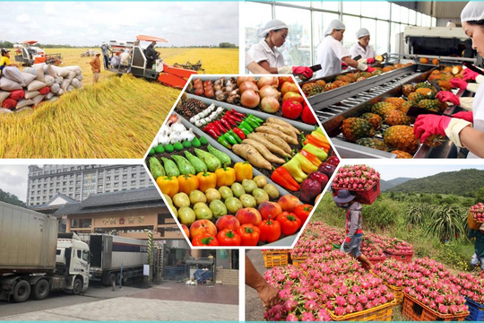Bộ Tài chính đề xuất gỡ vướng thuế GTGT cho nông, lâm, thủy sản