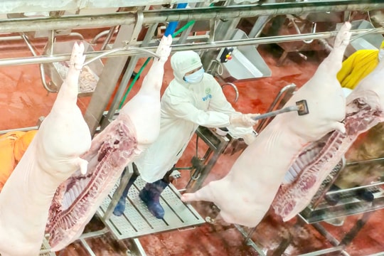 Nâng cao hiệu quả quản lý an toàn thực phẩm