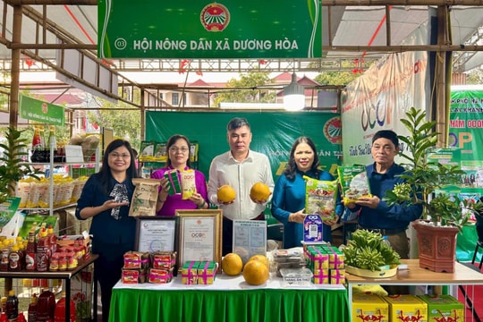 Nông dân Dương Hòa chung sức đẩy lùi nghèo khó