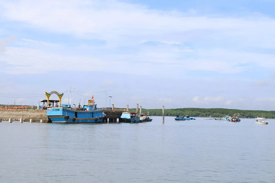 TP Hồ Chí Minh: hướng tới xây dựng nghề cá hiện đại, có trách nhiệm và phát triển bền vững