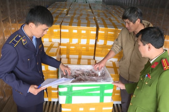 Sầm Sơn (Thanh Hoá): Thu giữ hơn 10 tấn cá khoai sử dụng chất cấm để bảo quản