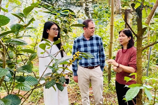 Nhà khoa học nữ gắn mình với nông nghiệp Việt