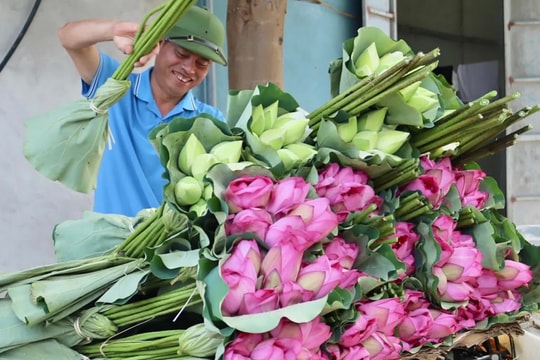 Khát vọng làm giàu trên mảnh đất quê hương