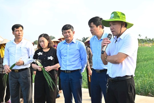 Kết nối nông sản Đồng bằng sông Hồng, mở đường tiêu thụ vụ đông dịp Tết