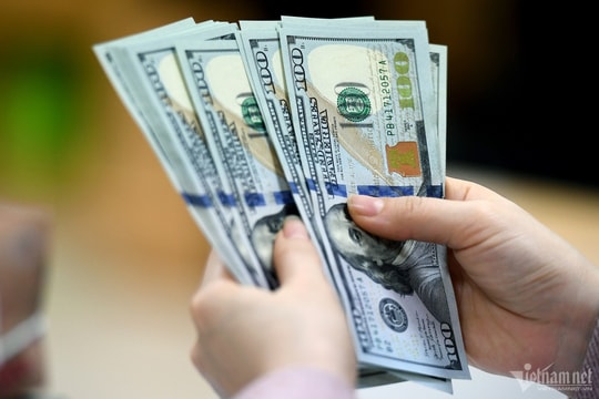 Tỷ giá USD hôm nay (23/12): Giá USD thị trường tự do giảm sâu