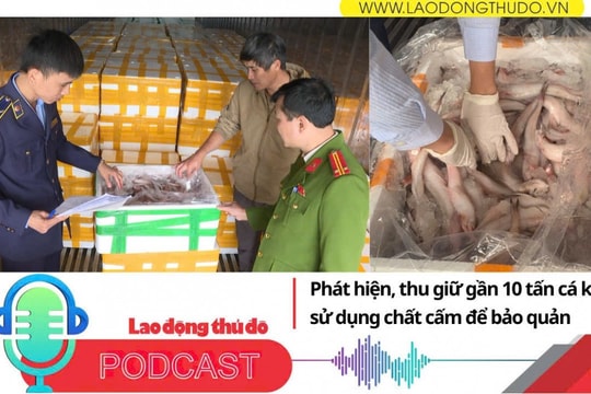 Điểm những tin nổi bật tối ngày 23/12/2025: Phát hiện, thu giữ gần 10 tấn cá khoai sử dụng chất cấm để bảo quản