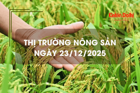 Thị trường nông sản ngày 23/12: giá gạo tăng nhẹ