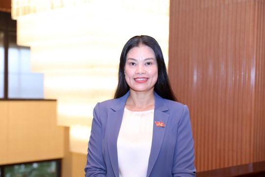 Đồng chí Bạch Liên Hương được giới thiệu để bầu giữ chức vụ Trưởng ban Văn hóa - Xã hội, HĐND thành phố
