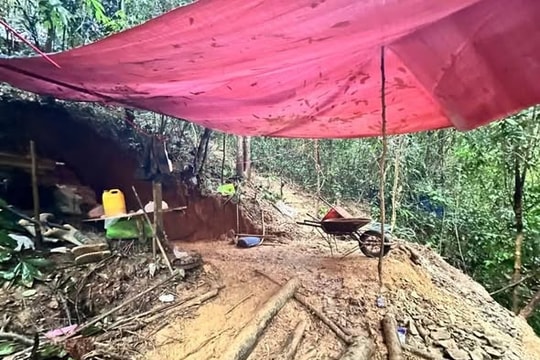 Đà Nẵng: Truy quét điểm khai thác vàng trái phép giữa rừng sâu