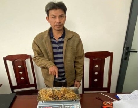Đà Nẵng: Bắt đối tượng trộm sâm Ngọc Linh từ tin báo qua VneID
