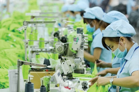 Thiết kế cơ chế EPR theo hướng kinh tế tuần hoàn, không hành chính hóa