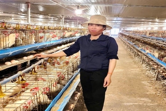 Mở lối thoát nghèo từ mô hình chăn nuôi mới