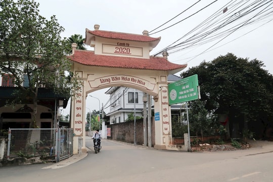 Sắc mai trắng và hành trình giảm nghèo hiệu quả