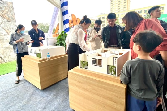 Người mua trẻ trước bài toán lãi suất: Nhu cầu ở thực vẫn là trụ cột thị trường