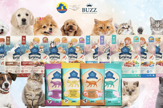 Thức ăn hạt "Buzz" đem đến sức khoẻ vượt trội cho thú cưng