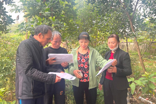 Cần làm rõ sự minh bạch của hồ sơ giao khoán đất tại xã Hòa Lạc