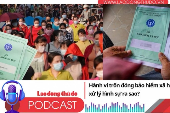Hành vi trốn đóng bảo hiểm xã hội bị xử lý hình sự ra sao