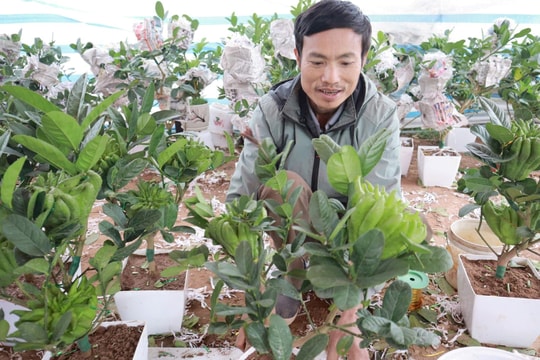 OCOP tạo sinh kế, giúp người dân thoát nghèo bền vững
