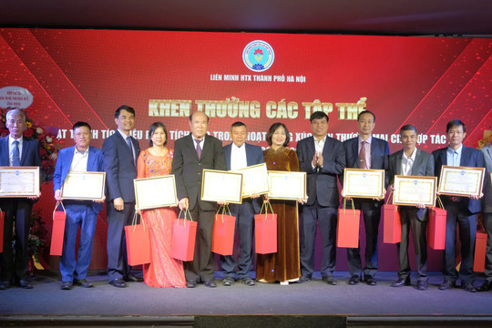 Liên minh Hợp tác xã TP Hà Nội - khẳng định vai trò “bà đỡ” trong xúc tiến thương mại