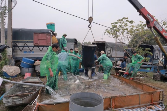 Kinh tế trang trại - “đòn bẩy” giúp nông dân thoát nghèo