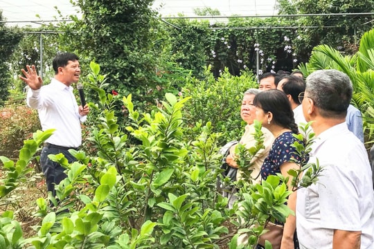 Định hình một Hà Nội xanh, thông minh, phát triển bền vững