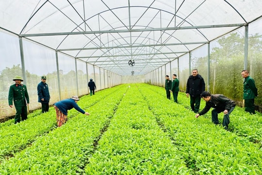 Hội Cựu chiến binh xã Nam Phù chuyển giao khoa học, kỹ thuật, giúp hội viên vươn lên làm giàu